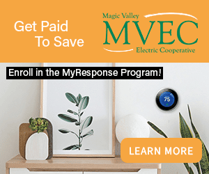 29v4 – MVEC – Half